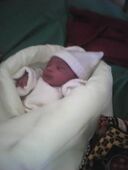 Helio Jorge Omar