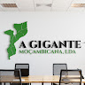 A. Gigante Moçambicana, Lda