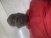 Aníbal Ernesto Sando