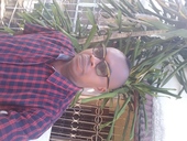 Amaechi Prosper Isaac