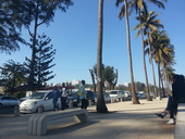 Castro Zavale