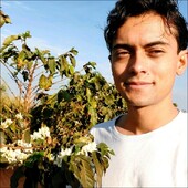 Pedro Junqueira