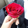 Neila Mel Menezes Valentim