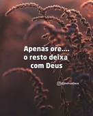 Amade Abacar