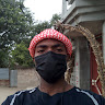 Ali de