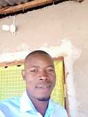 Zito Adelino Alfoi