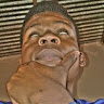Eduardo Arlindo
