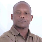Estevao Fernando