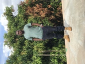 Emmanuel Mafred Carlos Lihubo
