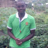 Jose Calia