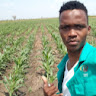 Anesio Guamba