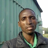 Daniel David Chivite
