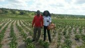Imelson Mwarabo