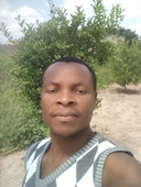 Afonso