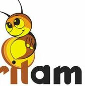 Pirilampo Multimedia