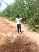 Arestides Faria