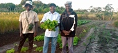 Mussa Tembe Cassimo