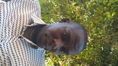 Amade Selemane